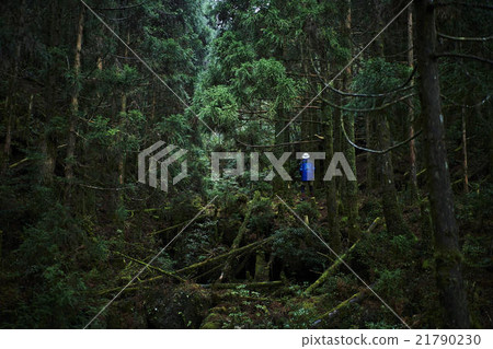 Men who adventure nature 21790230