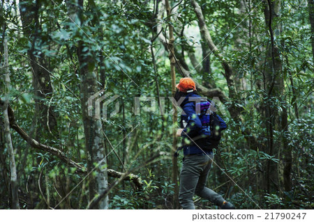 Men who adventure nature 21790247