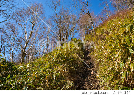 Spring climbing: Jizo Dake [Akagi] (7) 21791345