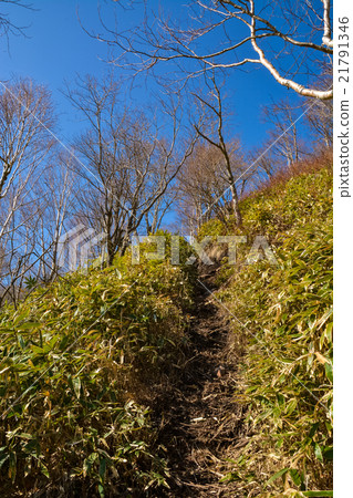 Spring climbing: Jizo dake [Akagi] (8) 21791346