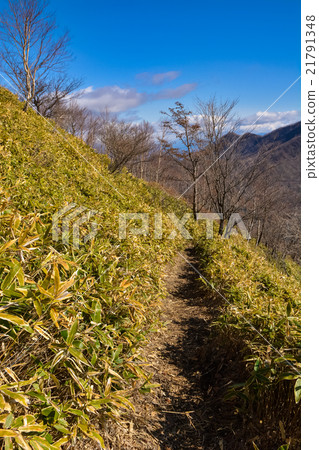Spring climbing: Jizo Dake [Akagi] (10) 21791348