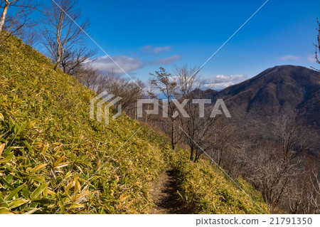 Spring climbing: Jizo dake [Akagi] (11) 21791350