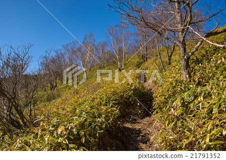 Spring climbing: Jizo Dake [Akagi] (13) 21791352