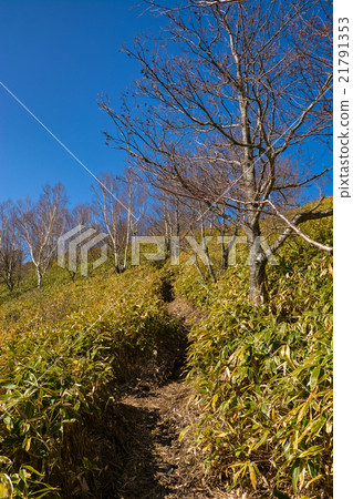 Spring climbing: Jizo Dake [Akagi] (14) 21791353