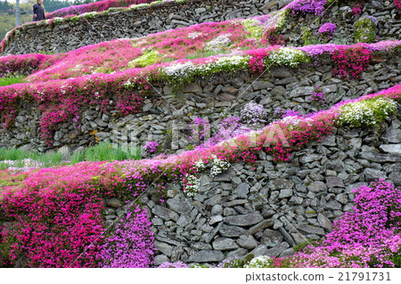 Masonry masonry with high opening 21791731