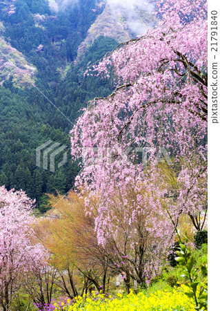 桃園寺東京大都會教堂Ryujoin 21791840