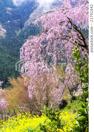 Taoyuan Temple of Tokyo Metropolitan Temple Ryujoin 21791842