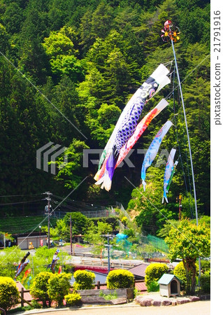 Carp streamer Carp streamer 21791916