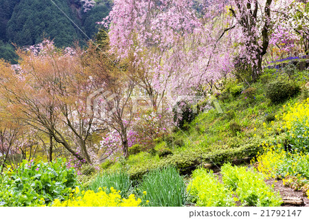 Taoyuan Temple of Tokyo Metropolitan Temple Ryujoin 21792147