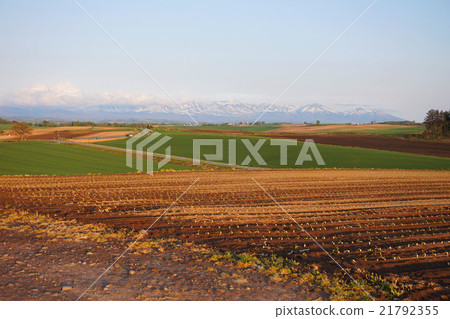 Patchowa Claude Patchowa Claude 21792355
