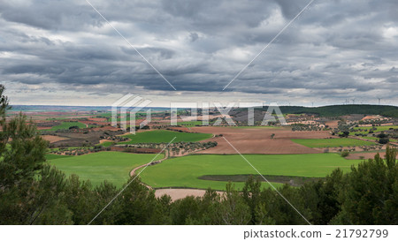 Green cultivated fields against cloudy sky 21792799