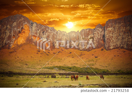 Herd of Horses in the plain 21793258