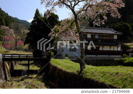 Sakura Sakusato (Uda City, Nara Prefecture) Sakura Sakusato (Uda City, Nara Prefecture) 21794006
