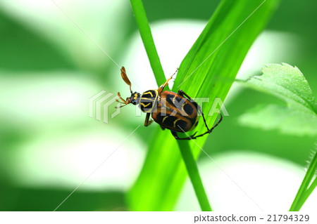 Where shall we go? Where shall we go? 21794329