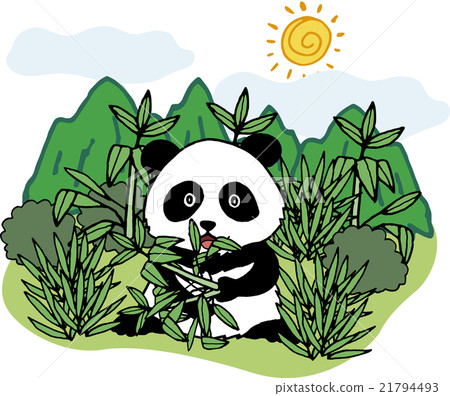 Wild animals panda 21794493