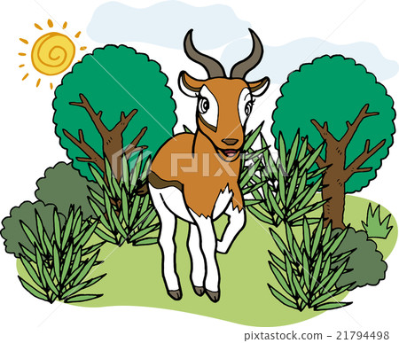 Wild animals Gazelle 21794498