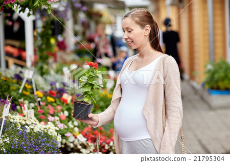pregnant woman choosing flowers at street market pregnant woman choosing flowers at street market 21795304
