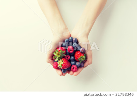 close up of woman hands holding berries close up of woman hands holding berries 21798346