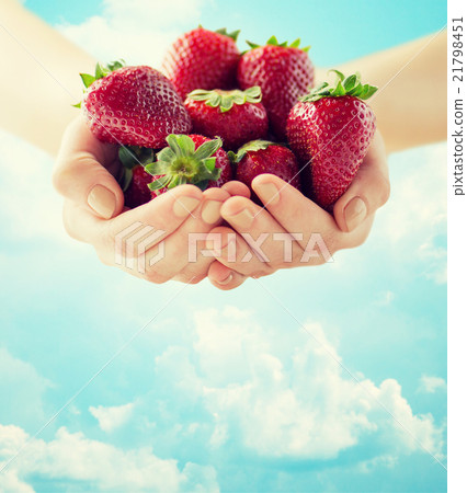 close up of woman hands holding strawberries close up of woman hands holding strawberries 21798451