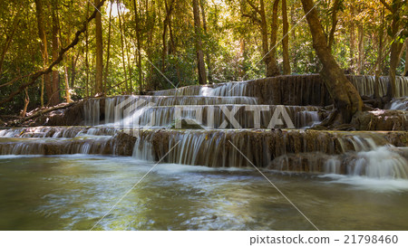 Deep forest spring waterfalls 21798460