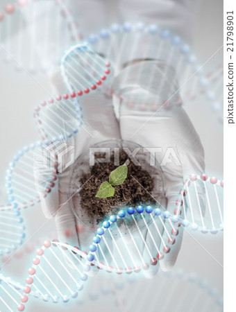 close up of scientist hands with plant and soil 21798901