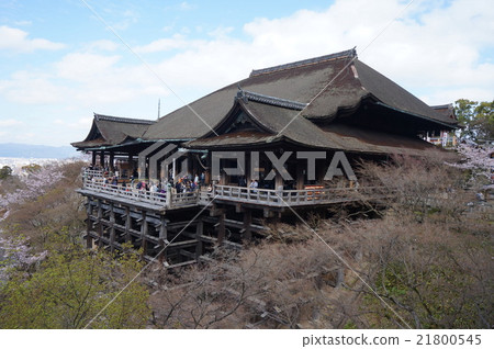[世界遺產古都京都文化遺產] [西方國家33個地方]京都府京都市東山區第16春清水寺本館 21800545