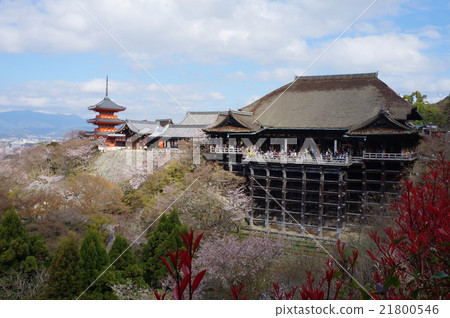 【古代京都的世界遺產文化遺產】【西國三十三寺】京都府京都市晴春櫻花東山區清水寺16號 21800546