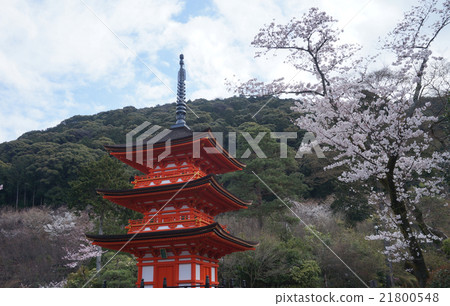 [世界遺產，京都古城的文化財產] [西方的33個地方]京都府京都市東山區春天的清水寺寺廟高雄塔16號 21800548