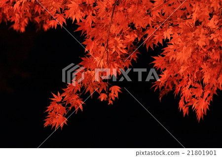 函館Kaizen庭院秋葉 函館Kaizen庭院秋葉 21801901