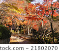 Fall of Kyoto 21802070