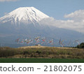 Mount Fuji and carp streamers 21802075