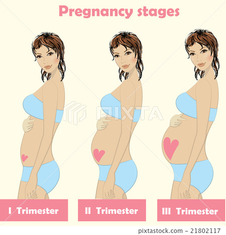 Beautiful Pregnant Woman In Casual Dress Smiling And Holding Hands On Belly While Standing Next To Wooden Bridge Green Summer Stock Photo 324788624