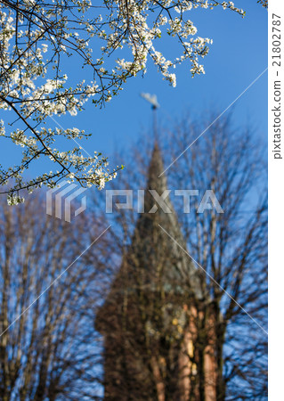 Spring in a city 21802787