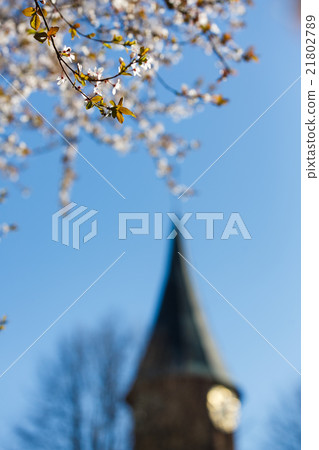 Spring in a city 21802789