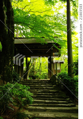 初夏山寺遺址 21803583