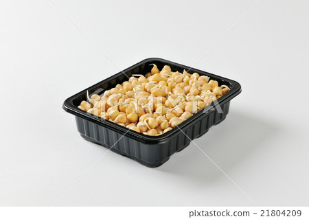 Sprouted chickpeas 21804209