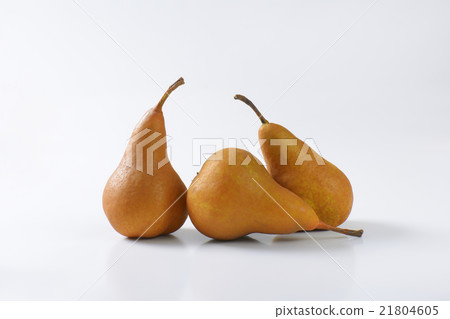 Ripe Bosc pears Ripe Bosc pears 21804605
