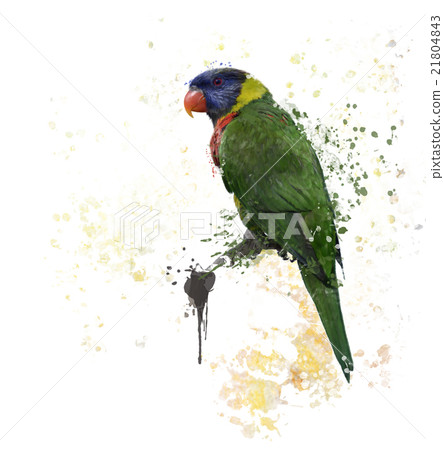 Rainbow Lorikeet Watercolor 21804843