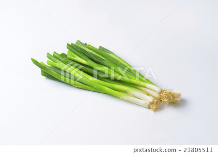 Spring onions 21805511