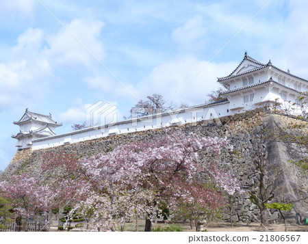 姬路城堡 姬路城堡 21806567