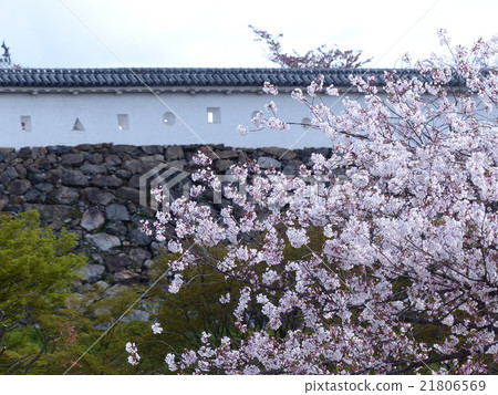 姬路城堡 姬路城堡 21806569