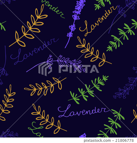 Lavender Seamless pattern  21806778