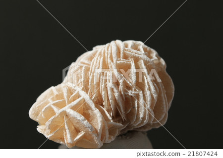 沙漠的玫瑰 沙漠的玫瑰 21807424