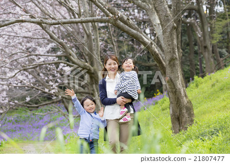 Mother and child walking in a cherry blossoming park Mother and child walking in a cherry blossoming park 21807477
