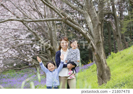 Mother and child walking in a cherry blossoming park Mother and child walking in a cherry blossoming park 21807478