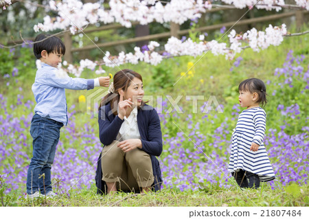 Mother and child playing in a flowering park Mother and child playing in a flowering park 21807484