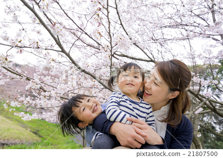 Mother and child playing in a cherry blossom park 21807500