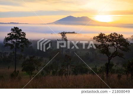 misty morning sunrise in mountain at Thung Salang 21808049
