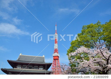 Tokyo Tower and Zojoji 21808099
