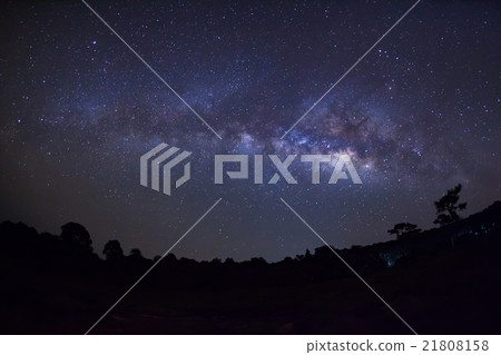 Milky Way Galaxy and Silhouette of Tree. 21808158